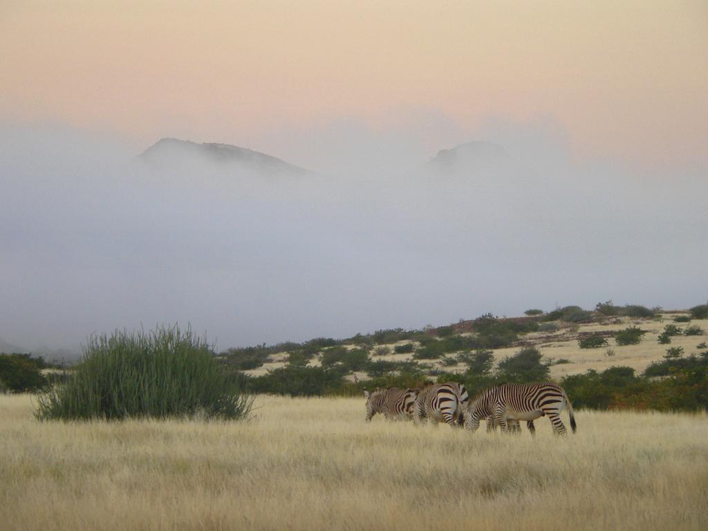 Etendeka Mountain Camp Damaraland Εξωτερικό φωτογραφία