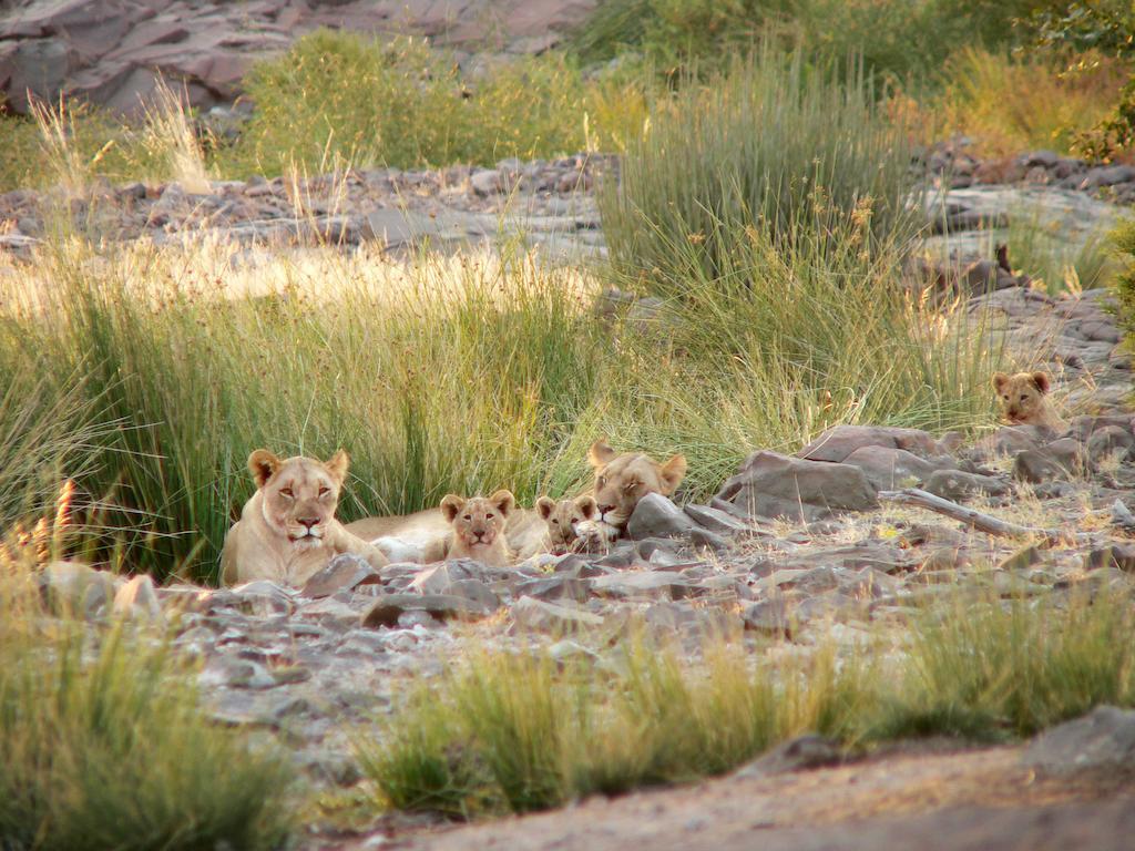 Etendeka Mountain Camp Damaraland Εξωτερικό φωτογραφία
