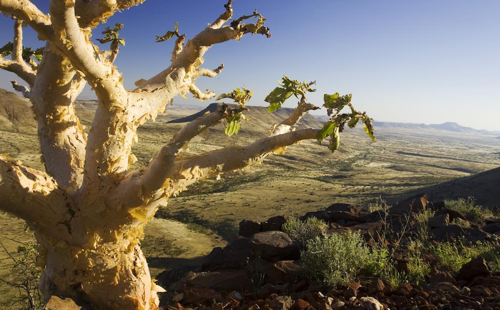 Etendeka Mountain Camp Damaraland Εξωτερικό φωτογραφία