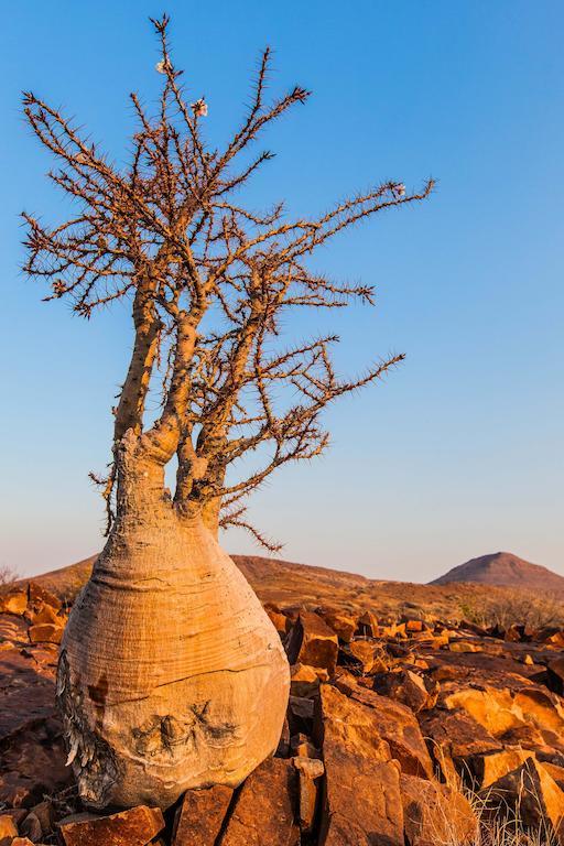 Etendeka Mountain Camp Damaraland Εξωτερικό φωτογραφία